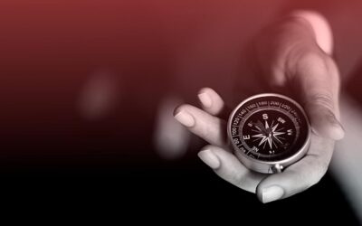 “SEARCH FUND”​ se consolida no Brasil e se torna uma das especialidades da Acorn Advisory