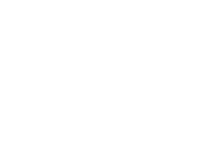 Ícone Fintech<br />
