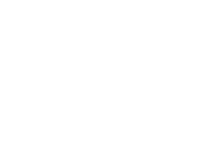 Ícone SECURITY TECH